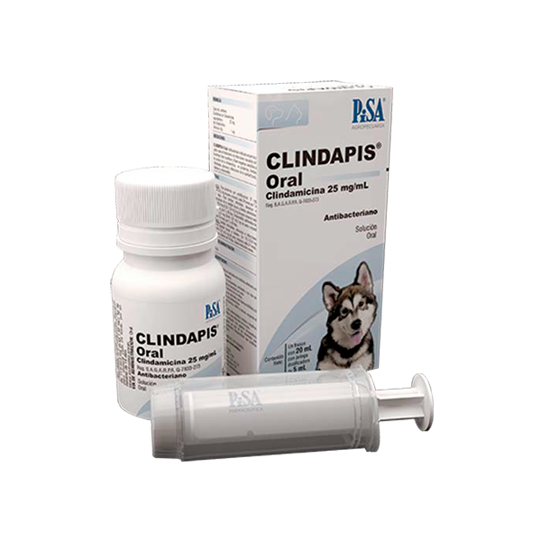 PISA CLINDAPIS SUSPENSION