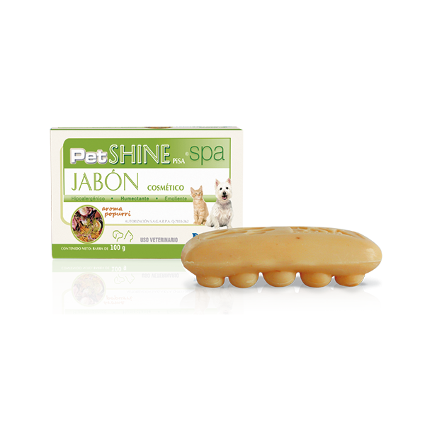 PISA PET SHINE PISA