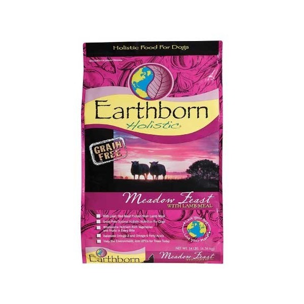 Earthborn Holistic Meadow Feast