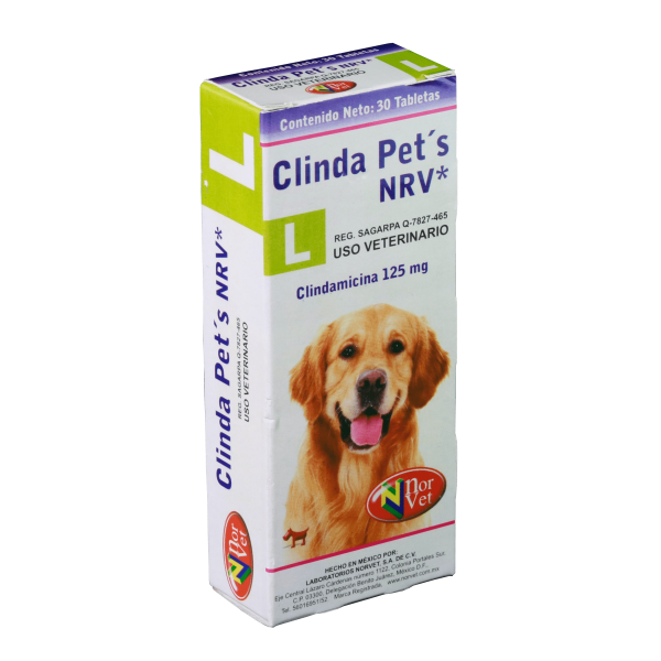 CLINDA PETS L