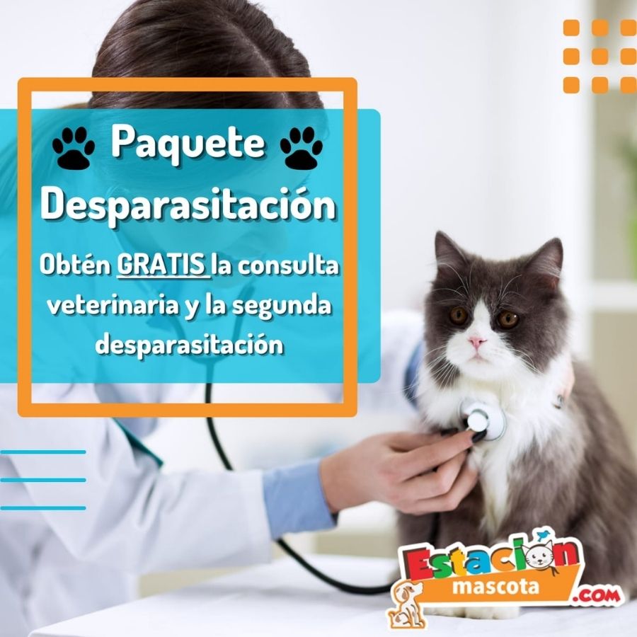 Estacion Mascota