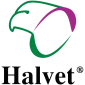 Halvet