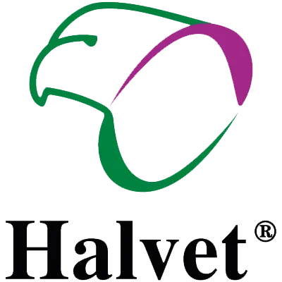 Halvet
